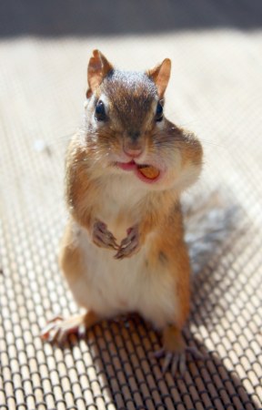 � ������ ���� �� ������! :)