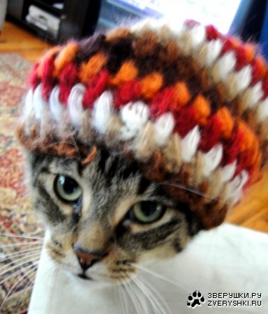 � ���� ������? ;)