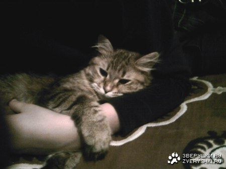 ��� ��������!