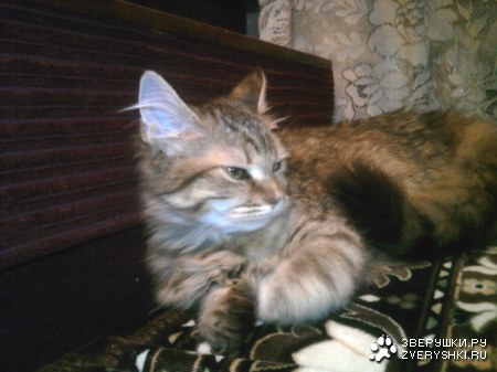 ��� ��������!