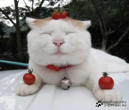 ����������� ��� ����������! :)