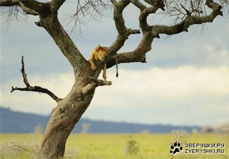 �����... :)