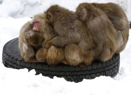 ��������� ������� :)