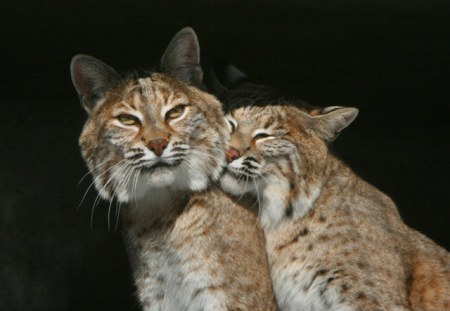 ������ ��� ��������! ;)