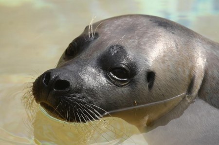 ����� �������� ;)