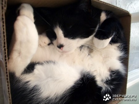 � ��� ��� �����? ;)