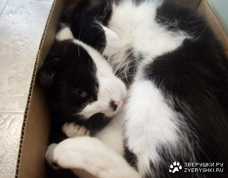 � ��� ��� �����? ;)