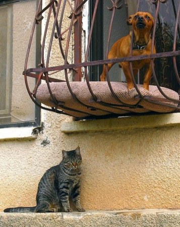 �������� (14 ����)