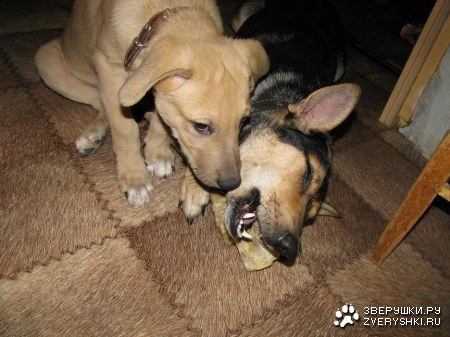 ���������� :)