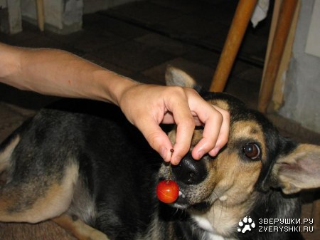 � ��� ��� �� �������! :)