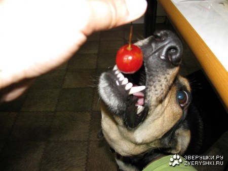 � ��� ��� �� �������! :)