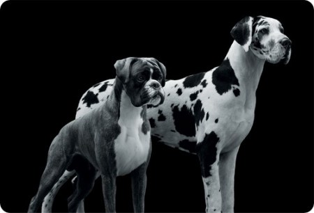 ������������ ������������ ������!