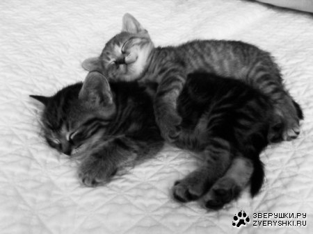 ��������� :)