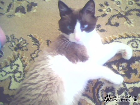 ����� ���������!