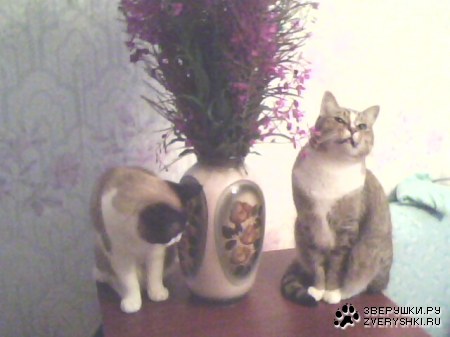 ����� ���������!