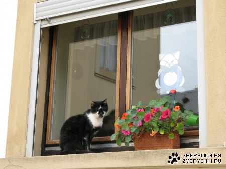 ����� �� ����������� :)