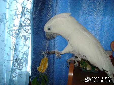 ����� ������ � ������ �����, ��� ������� �����!