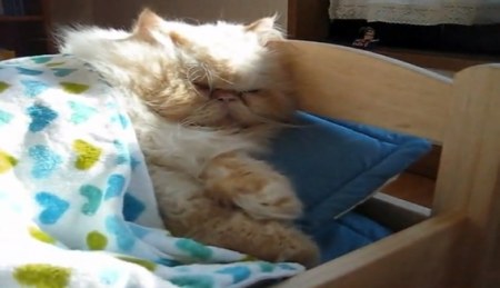 ��������� ;)