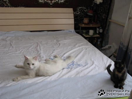 ������ ���� ����� � ������  :)