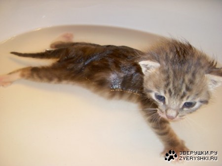 ������ ���������! :)