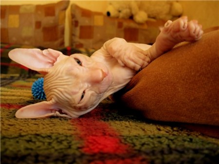 ������ ��������� :)