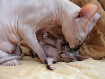 ������ ��������� :)