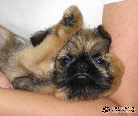 ��������� ;)