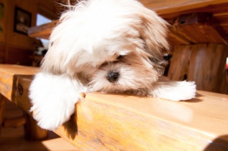 ����������� ����� ������� :)