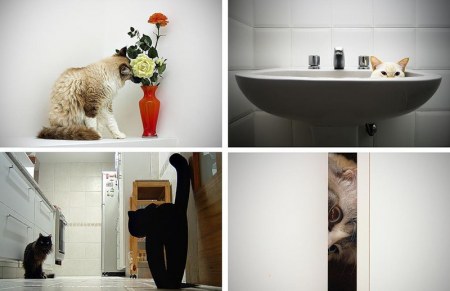 ���� - ��������� ������ ���� (15 ����)