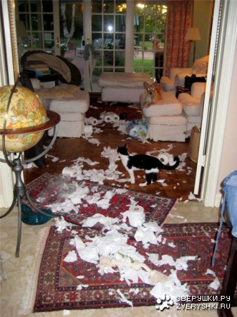 ��� ��� ��������! :)