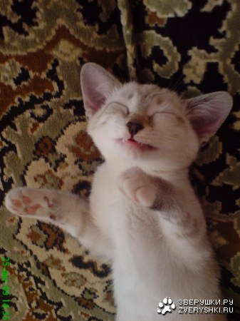 ��������� �������� ;)