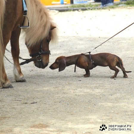 ������! :)