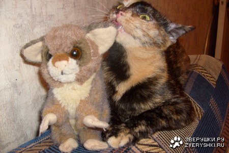 ���� � � ���� :)