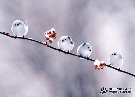 �������� ��� ����������! :)