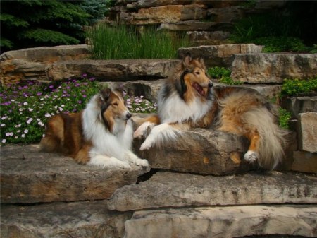 ���������� �������� (17 ����)