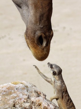 ������, �����! ;)