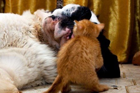 ������ ����� � ��� ���� (9 ����)