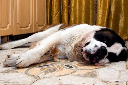 ������ ����� � ��� ���� (9 ����)