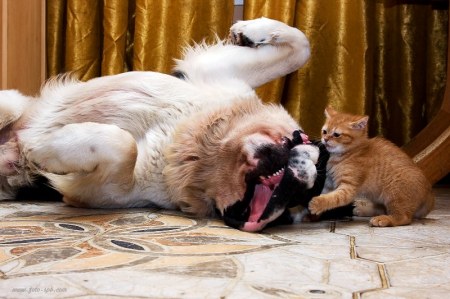 ������ ����� � ��� ���� (9 ����)