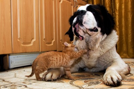 ������ ����� � ��� ���� (9 ����)