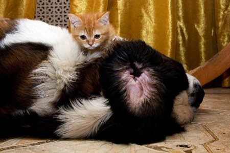 ������ ����� � ��� ���� (9 ����)