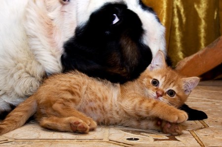 ������ ����� � ��� ���� (9 ����)