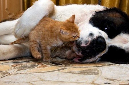 ������ ����� � ��� ���� (9 ����)