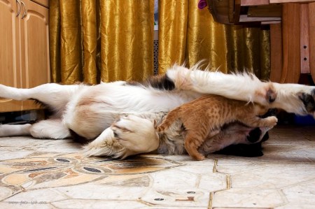 ������ ����� � ��� ���� (9 ����)