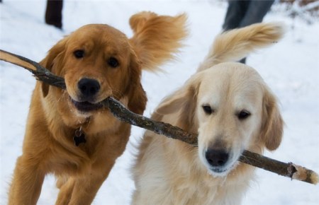 ��������� ������!