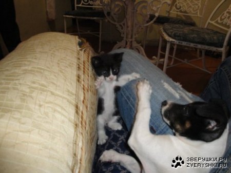 � ������� � �����! ;)