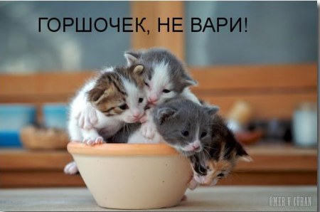 ������������ :)