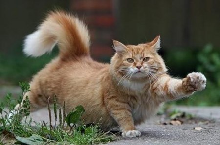 ��������� ���� �����! :)