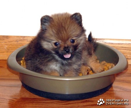 ������ ���� ��� �� �����! :)