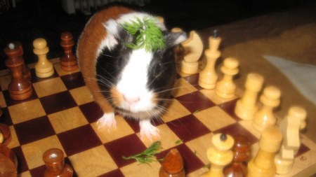 � �� � ������� ������!